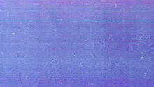https://aurianelegendre.com/files/gimgs/th-50_img363.jpg