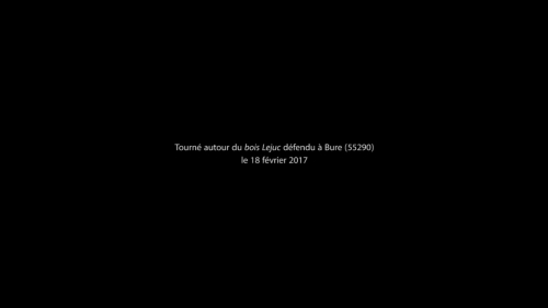 https://aurianelegendre.com/files/gimgs/th-8_thumb.jpg